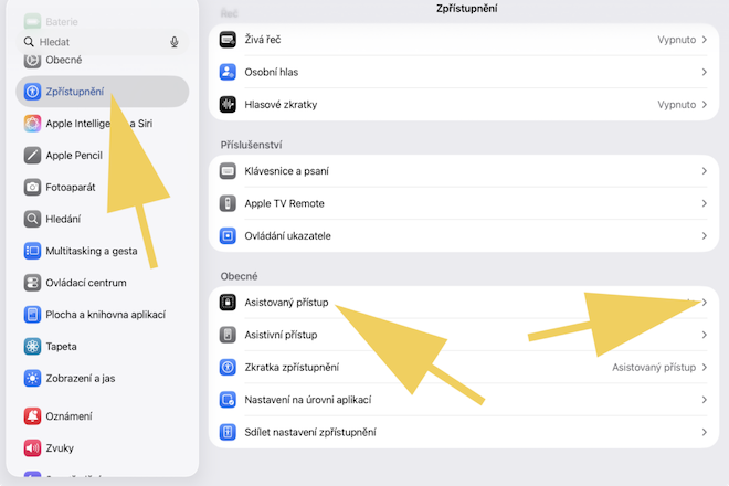 Asistovaný přístup